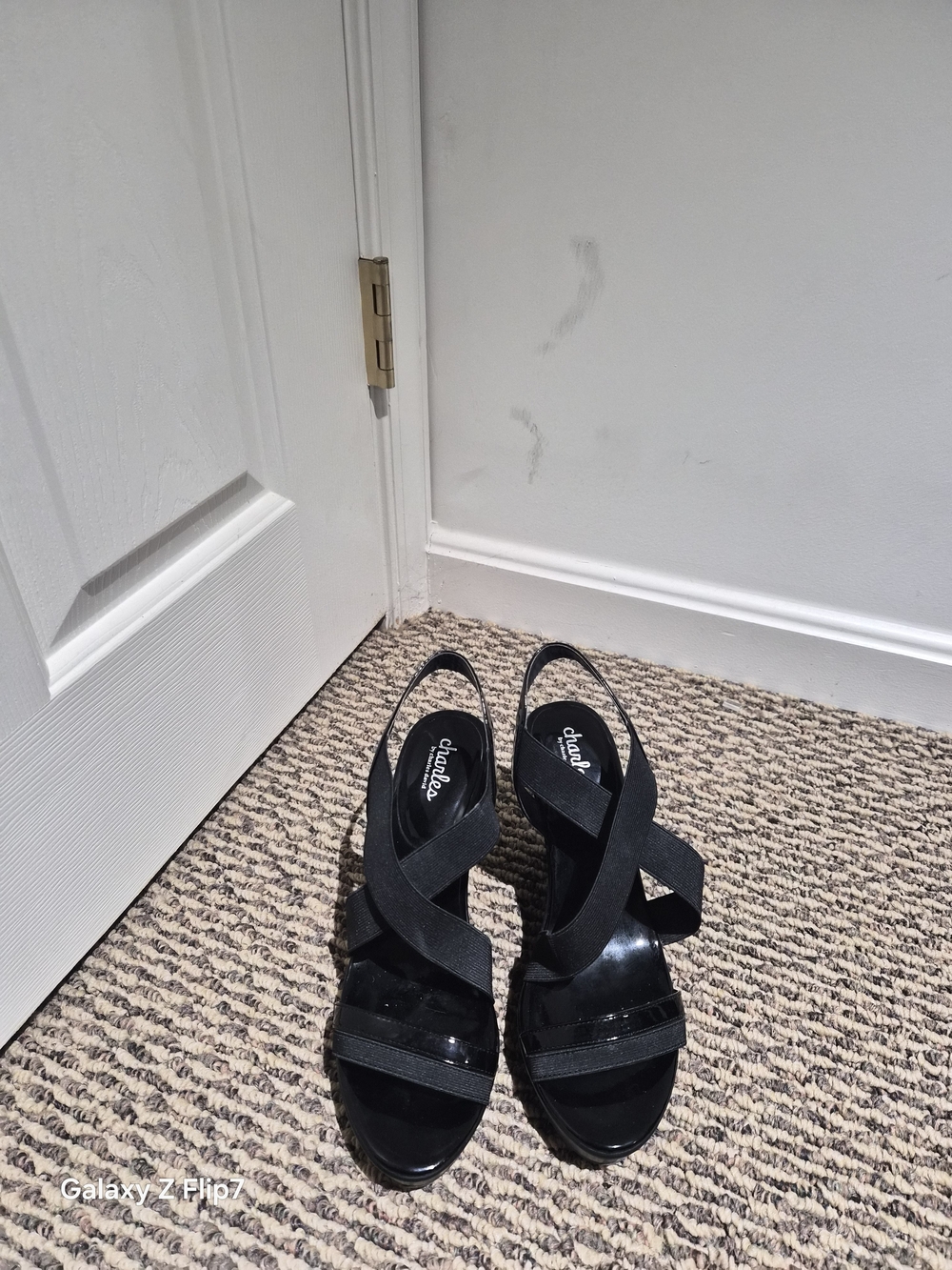 Charles David Black Crisscross Wedge Sandals